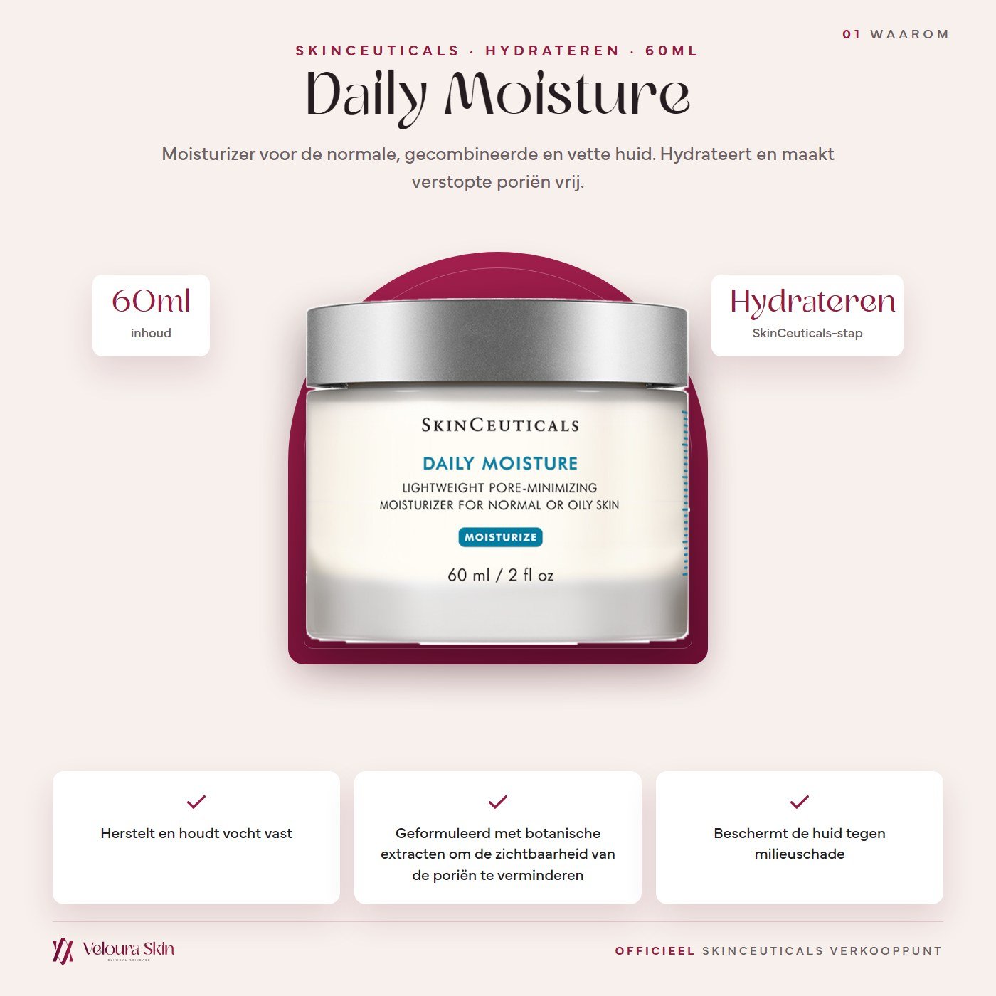 SkinCeuticals Daily Moisture productinformatie
