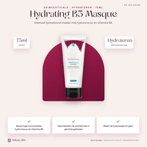 SkinCeuticals Hydrating B5 Masque productinformatie